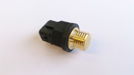 Fuel rail sensor