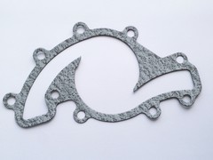 Water pump gasket (serpentine)