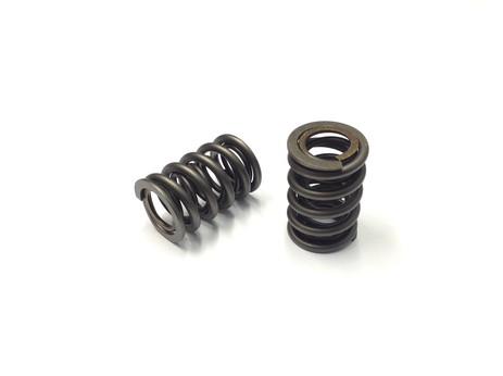 Double valve spring