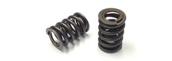 Double valve spring