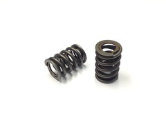 Double valve spring