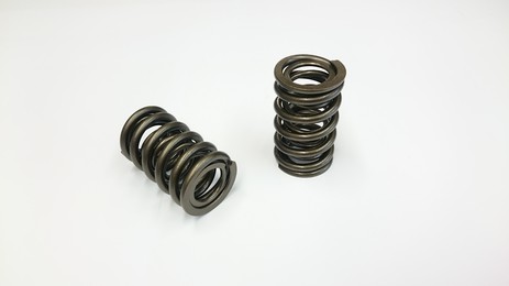 AJP V8 VALVE SPRING