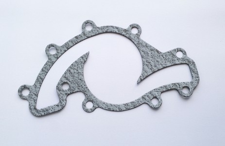 Water pump gasket (serpentine)
