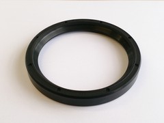 Crank Oil Seal Rear RV8