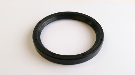 Crank Oil Seal Rear RV8