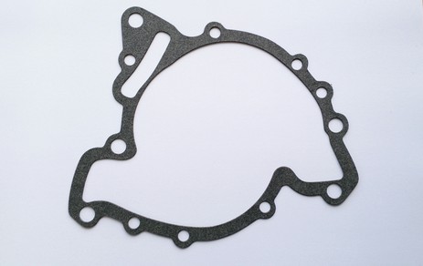 Water pump gasket (pre serpentine)